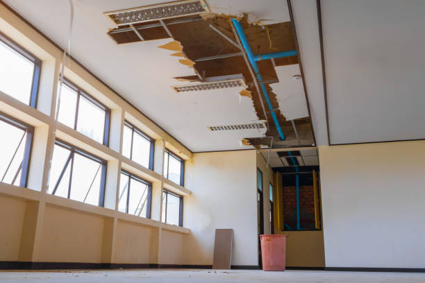 Best Emergency water damage restoration  in Sunman, IN