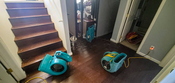 Best 24-hour water damage restoration  in Sunman, IN