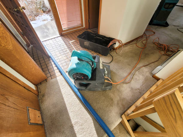 Professional Water damage restoration in Sunman, IN