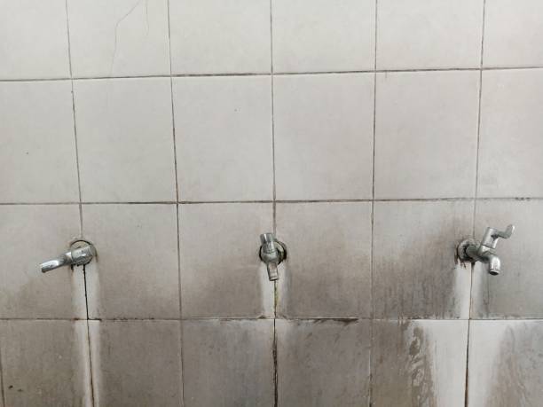 Best Water damage contractors near me  in Sunman, IN